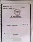 Statuts enregistrés de la société (expédition du notaire)